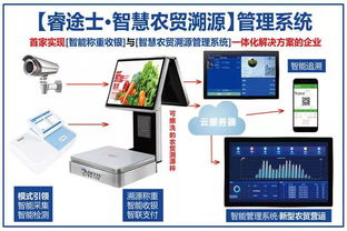 智慧农贸丨如何打造智慧菜市场